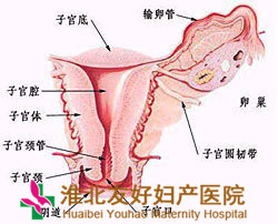 宫颈糜烂可以同房吗