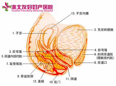 引起阴道炎的原因主要有哪些